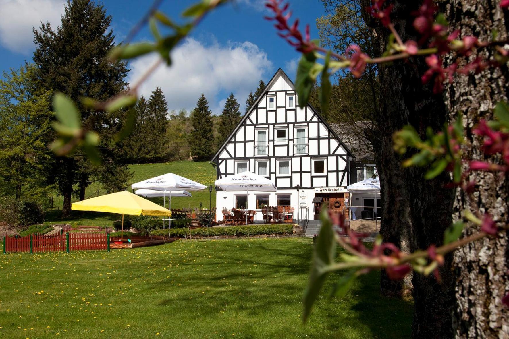 Forellenhof Wald- Und Wiesenquartier Bad Berleburg Eksteriør bilde